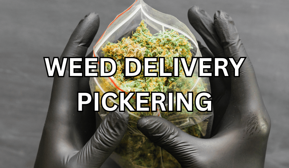 Weed Delivery Pickering
