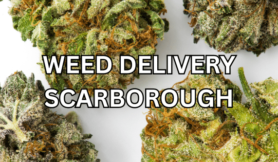 Weed Delivery Scarborough