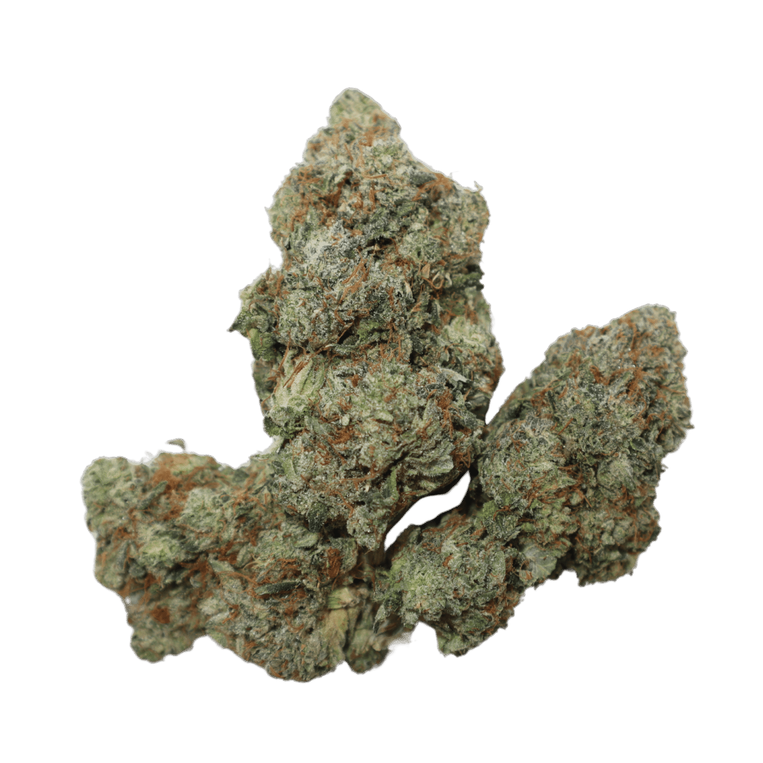 Pink Terminator Strain