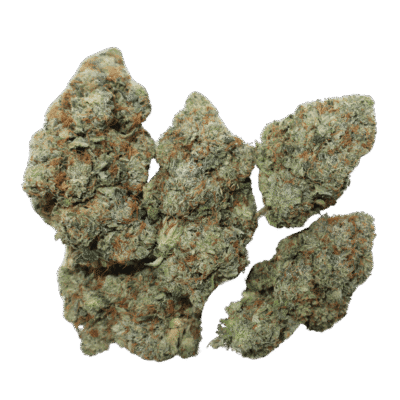 Pink Terminator Strain