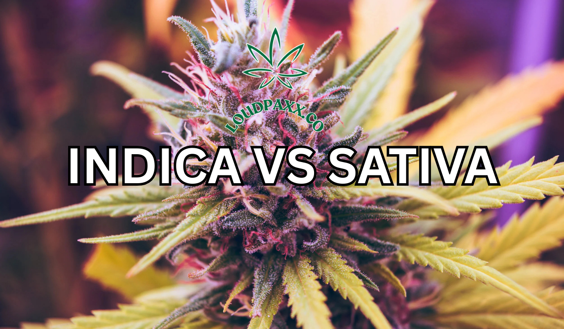 Indica vs Sativa