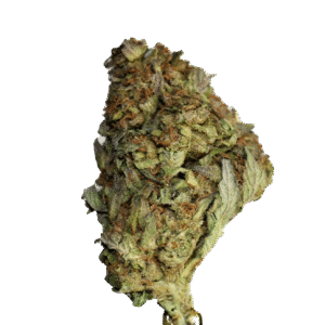 Blue Dream