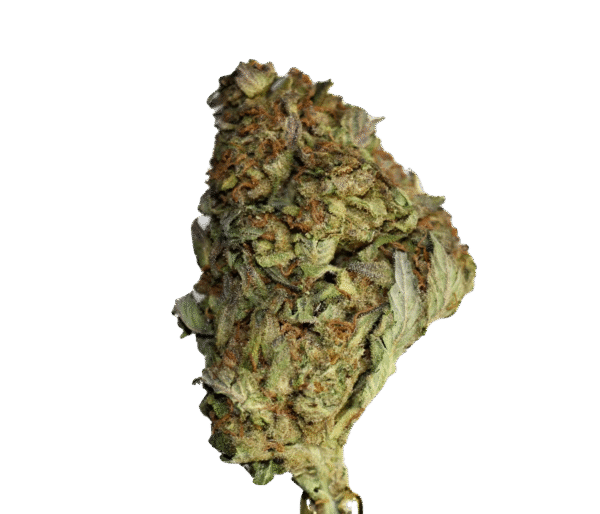 Blue Dream