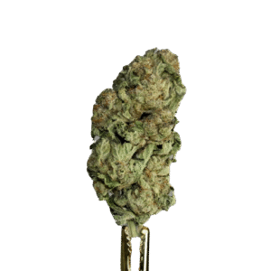 Gods Green Crack