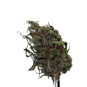 OG Kush