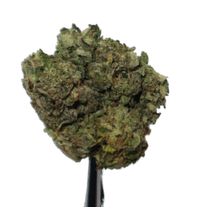Jet Fuel