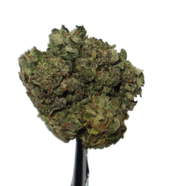 Jet Fuel
