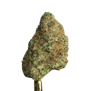 Lemon Skunk Diesel Strain