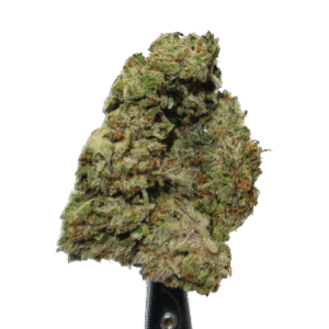 Lindsay OG