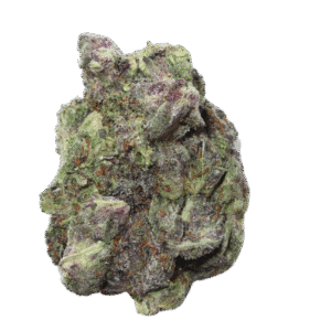 Pink Champagne