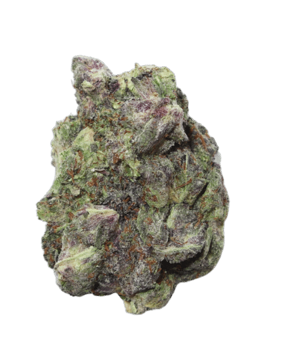 Pink Champagne