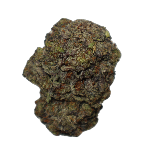 Pink Gas Mask