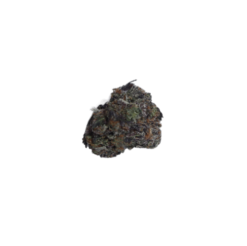 Blue Dream Strain