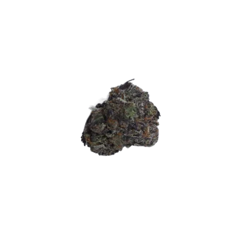 Blue Dream Strain