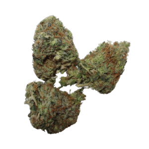 Greasy Pink Strain
