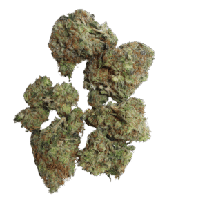 Greasy Pink Strain