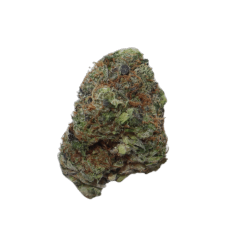 Greasy Pink Strain