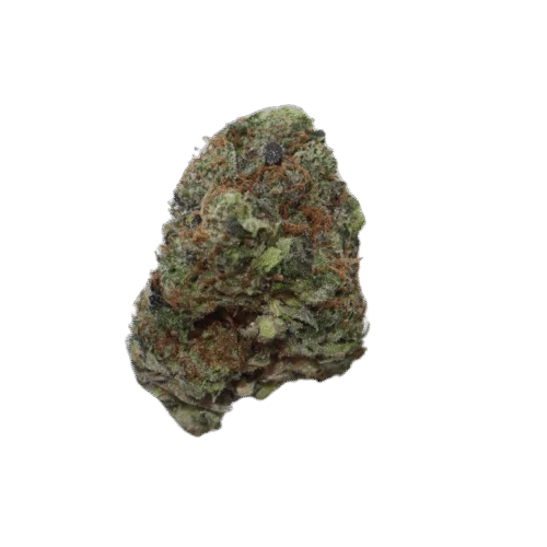 Greasy Pink Strain