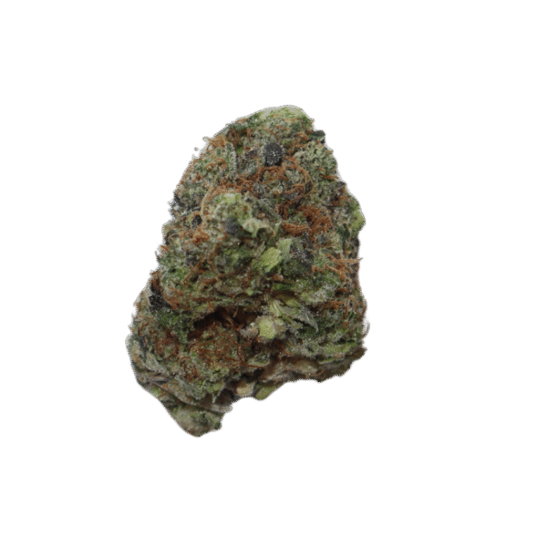 Greasy Pink Strain