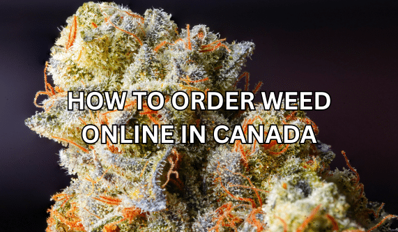 How To Order Weed Online in Canada