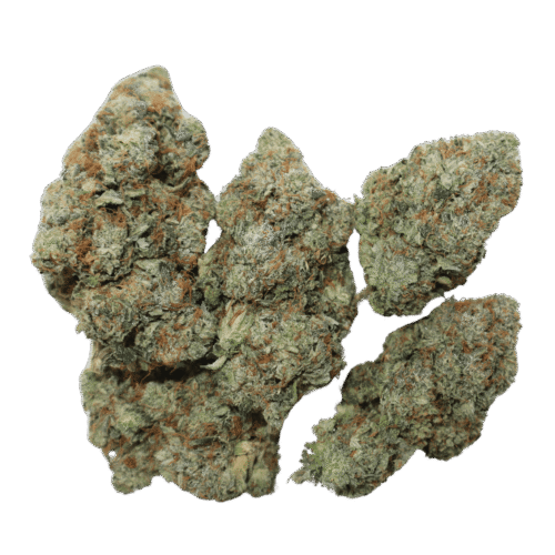 Pink Terminator Strain