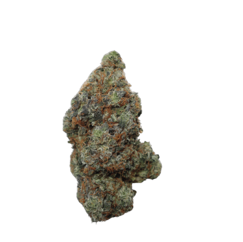 Pink Terminator Strain
