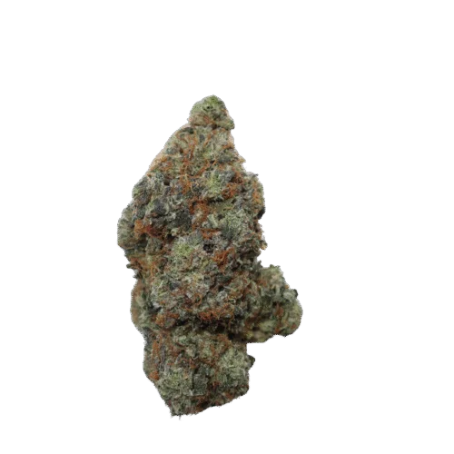Pink Terminator Strain