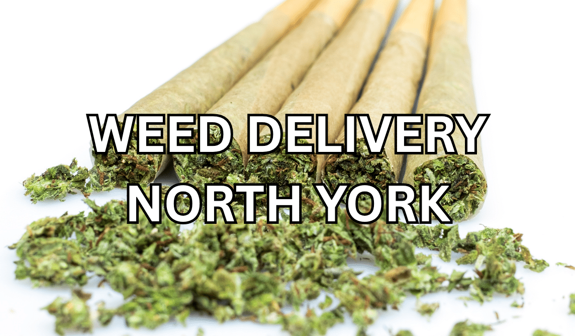 Weed Delivery North York
